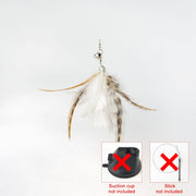 Handfeed Bird/Feather Pet Toys